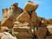 Joshua_Tree_April_2003_
