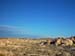 Joshua_Tree_April_2003_