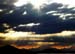 Joshua_Tree_April_2003_
