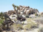 old-car-in-Joshua-Tree