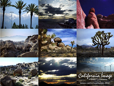Joshua Tree National Park