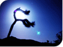 Joshua Tree at Night - April 2003
