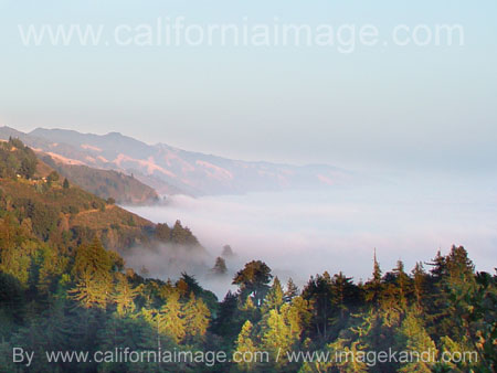 Big Sur Fog Over The Coast by californiaimage.com