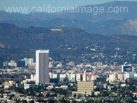 Hollywood from West LA Hills