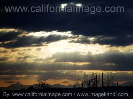 JT Desert Light by californiaimage.com