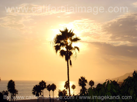 Pacific Palisades Golden Sunset