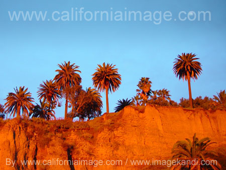 Santa Monica Ridge Sunset