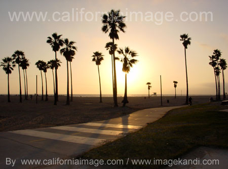 Venice Beach Boardwalk