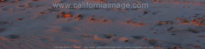 Venice Beach View