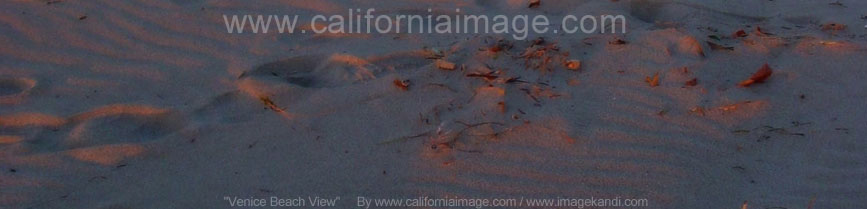 Venice Beach View