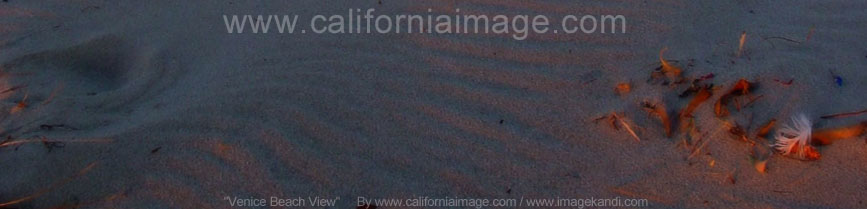 Venice Beach View