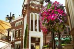 Beverly_Hills_Rodeo_drive_10