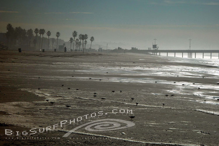 california-big-surf