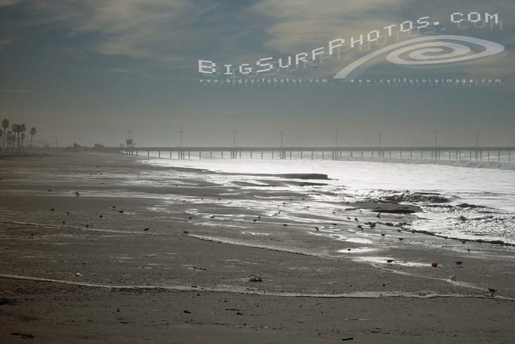 california-big-surf
