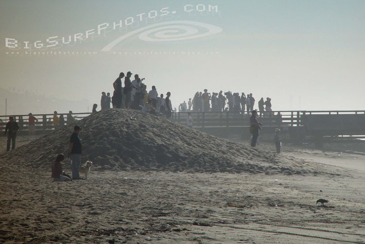 california-big-surf
