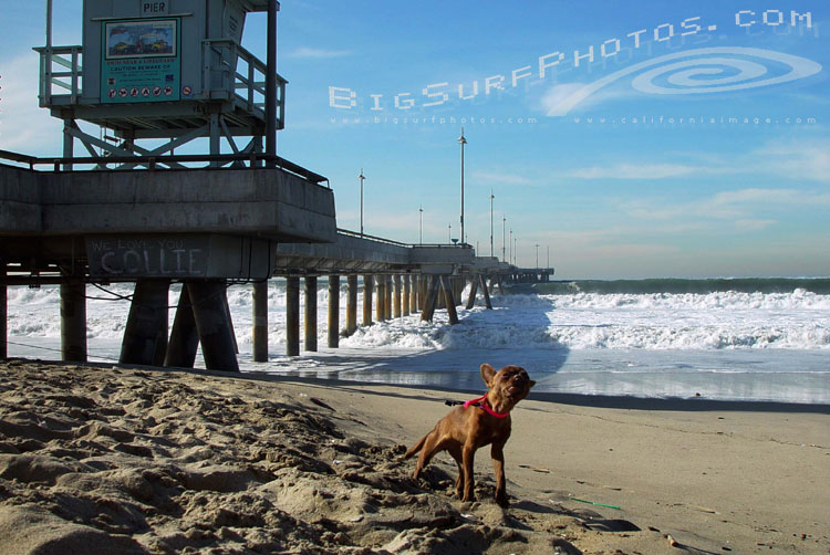california-big-surf