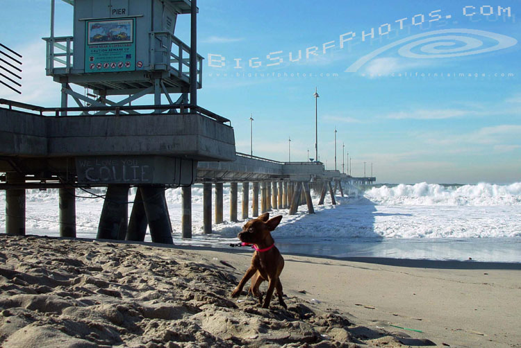 california-big-surf