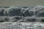 california-big-surf