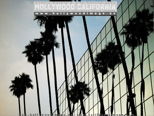 Hollywood-blvd-2