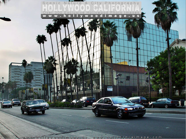 Hollywood-blvd