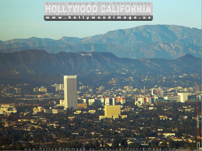Hollywood