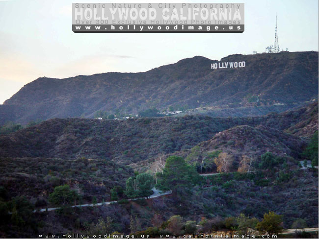 Hollywood-sign-15-3