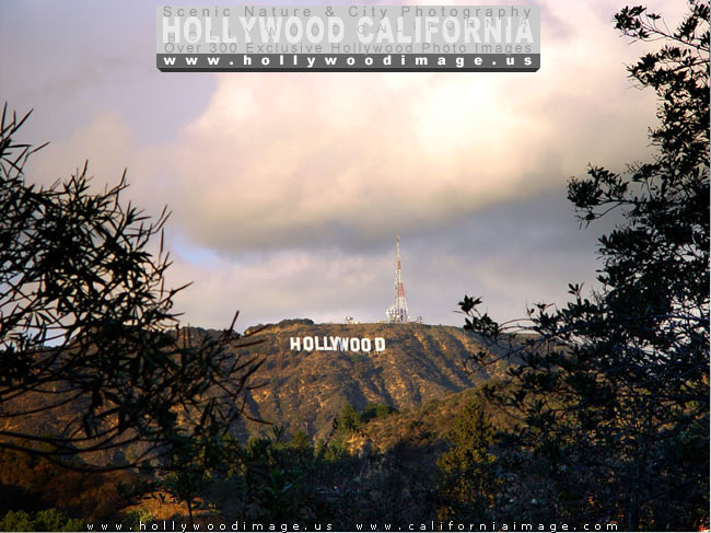 Hollywood-sign-17-2