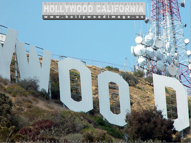 Hollywood-sign-8