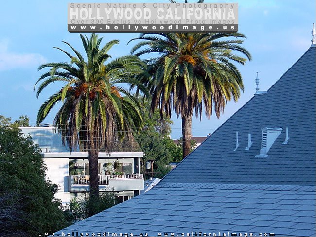 Hollywood_hills-house-roof