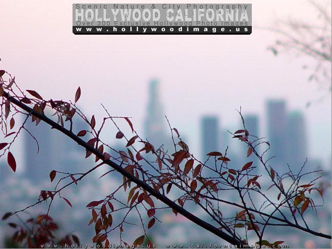 Downtown-LA-sunset