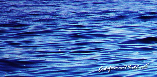 Blue Ocean