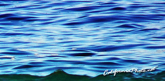 Blue Ocean