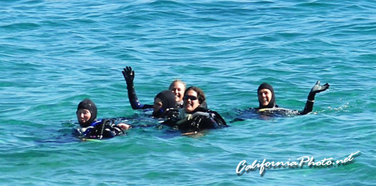 Divers