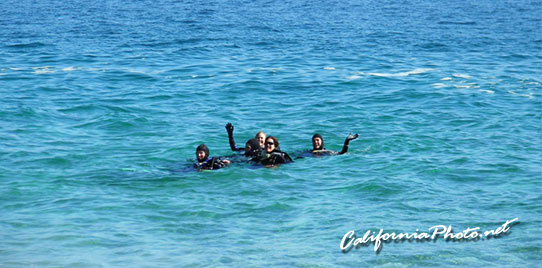Divers