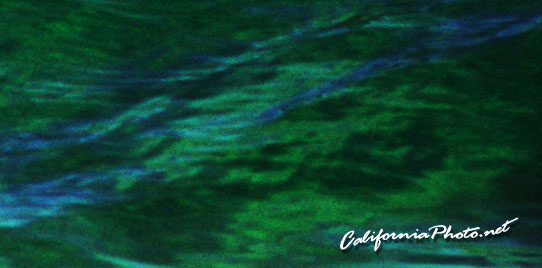 Emerald Ocean