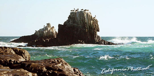 Pelican Cliff
