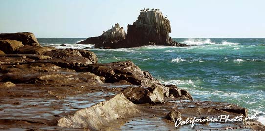 Pelican Cliff
