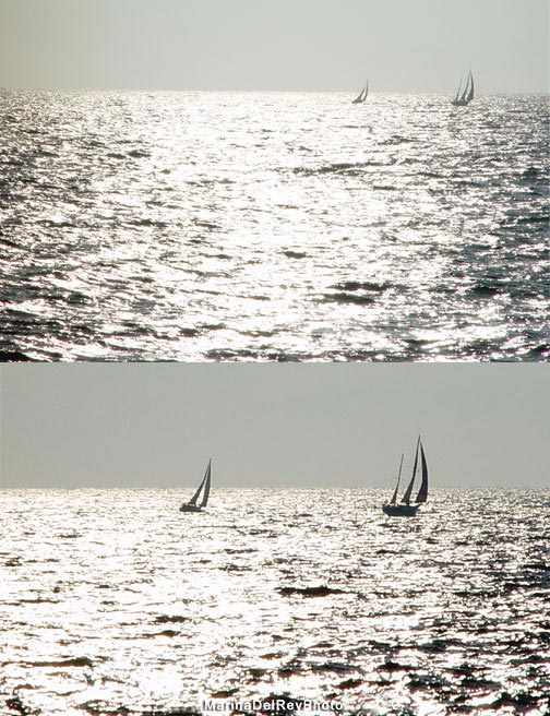 Marina Sailing Boats