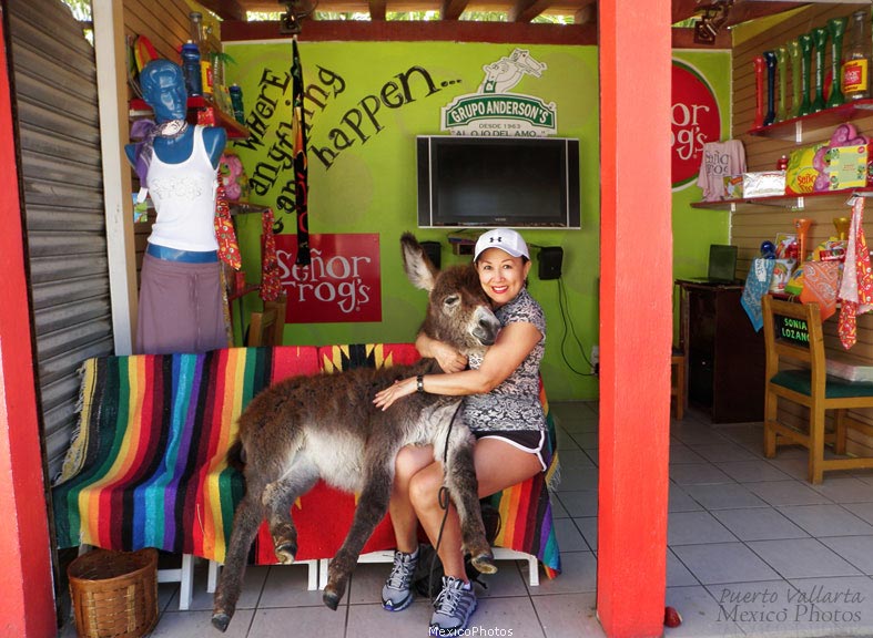 Puerto Vallarta Friend