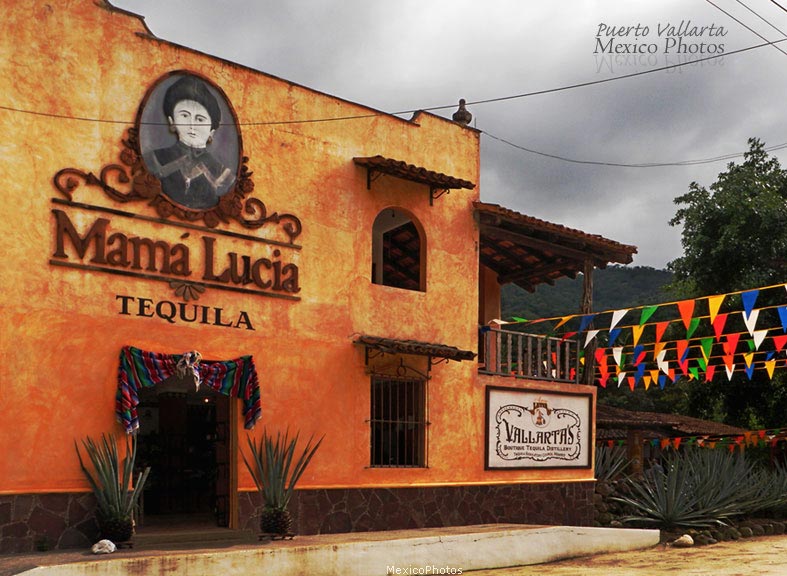 Mama Lucia Tequila