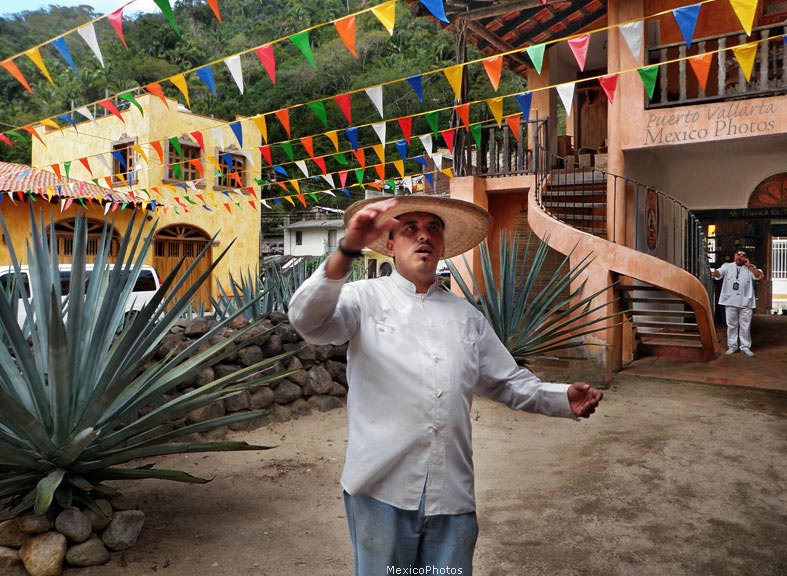 Tequila Tour