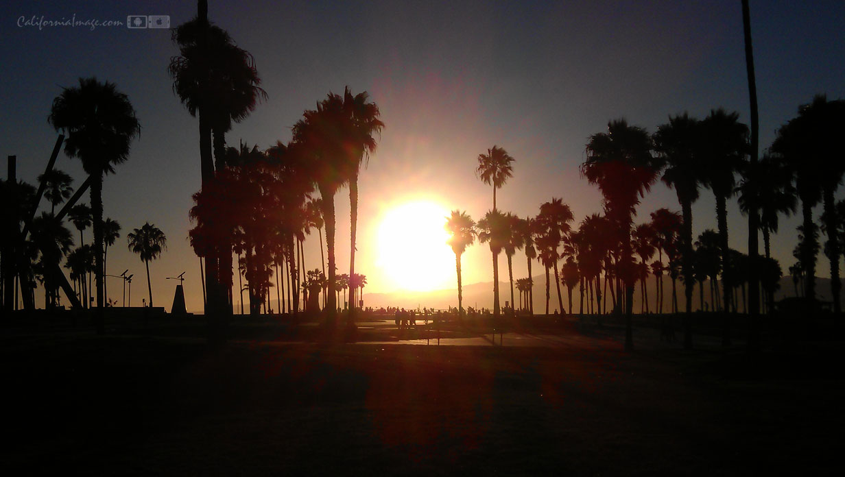 Sunset Venice Beach