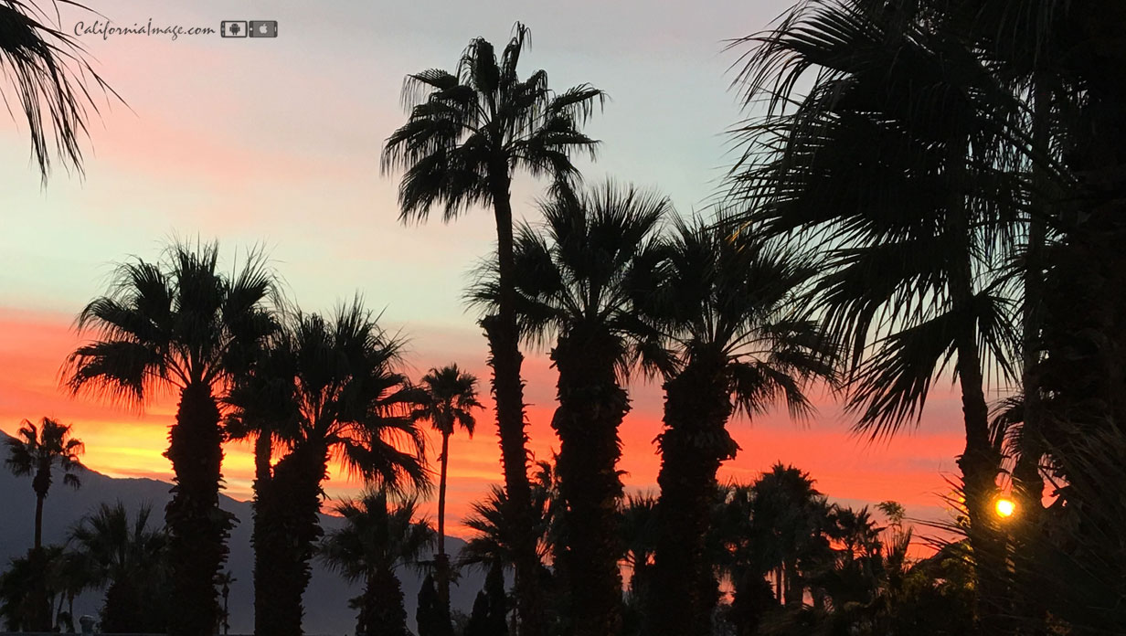 Palm Springs Sunset