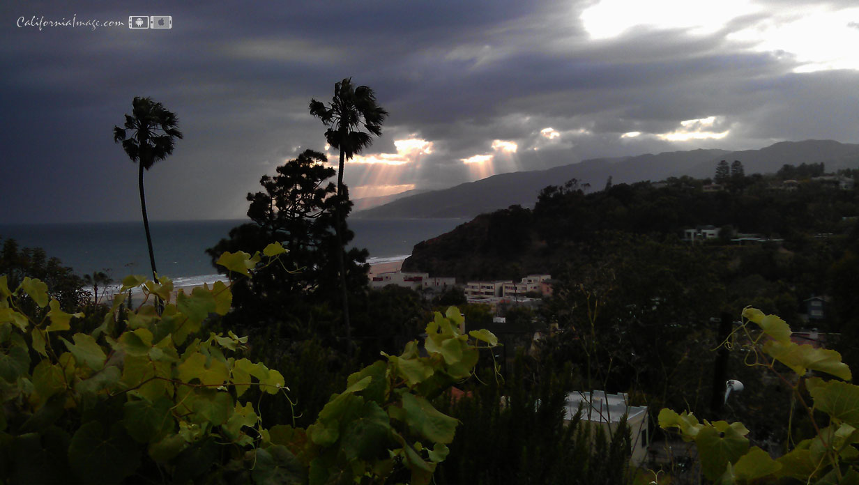 Evening Sunrays