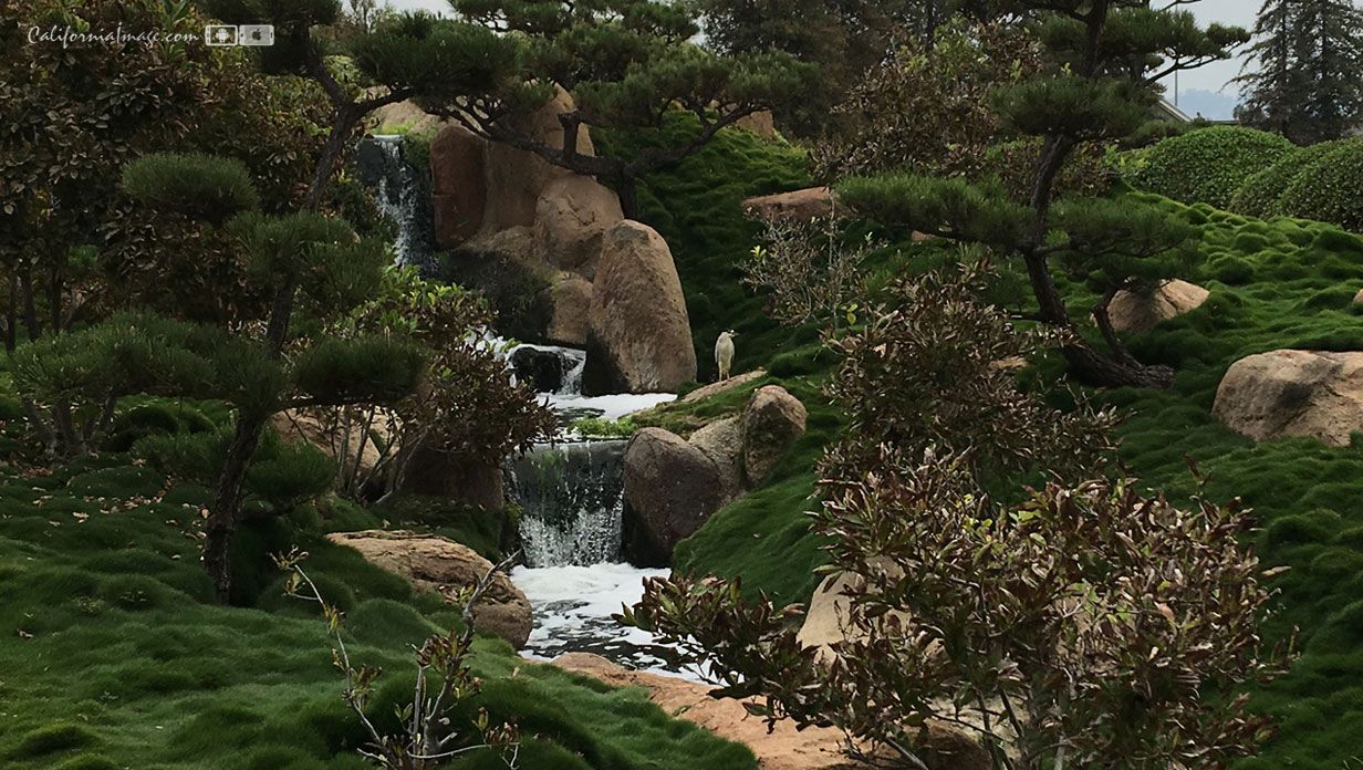 Garden Waterfall