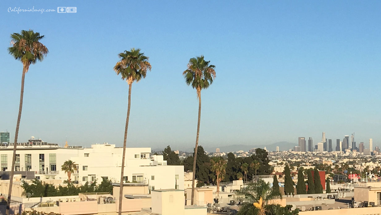 Three Palms Hollywood