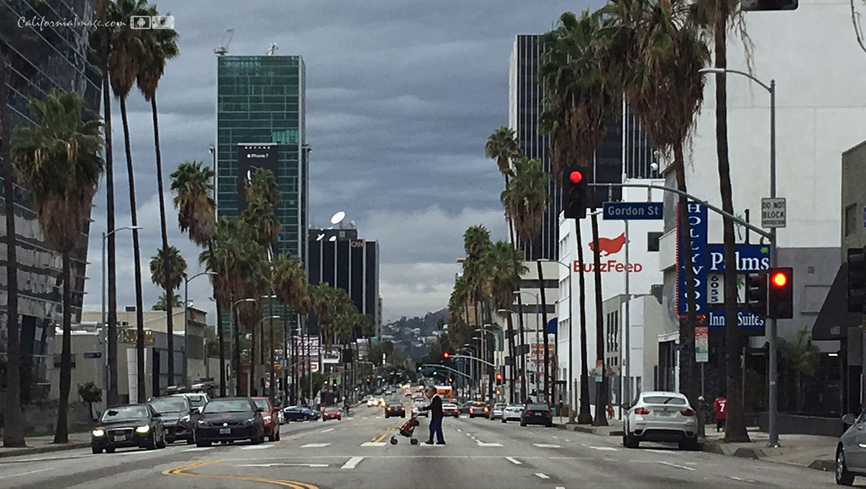 Sunset Gordon Hollywood