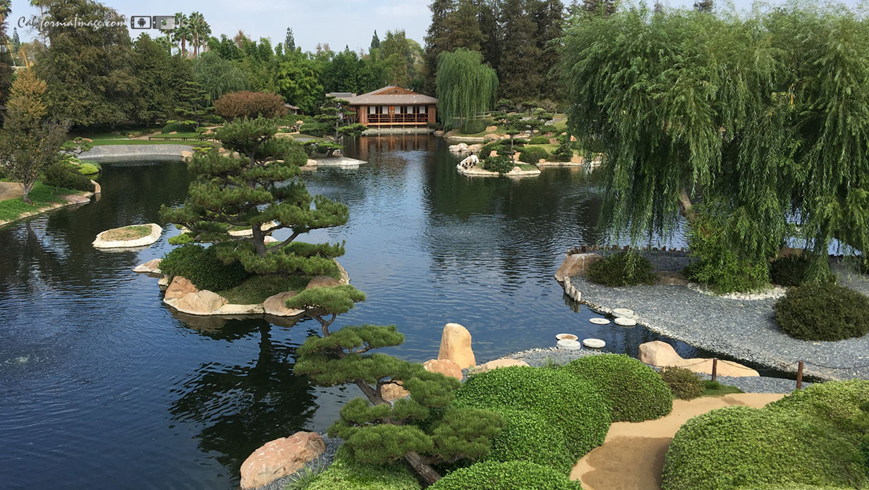 The Japanese Garden