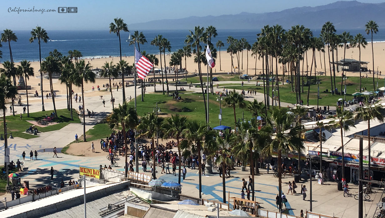 Venice Beach Rooftop View
