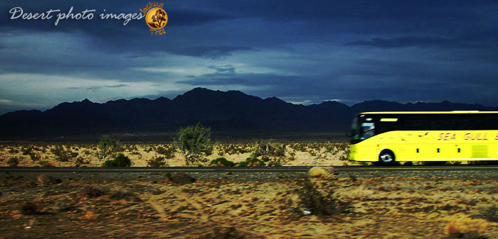 Bus on Desert Freeway